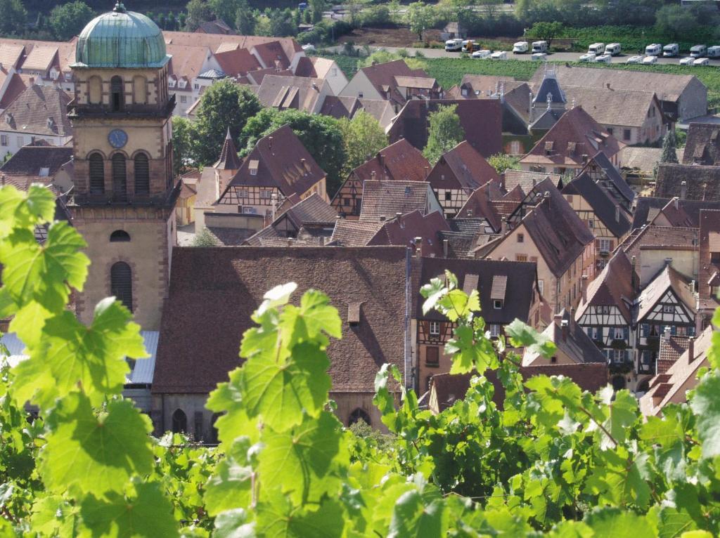Hotel Les Remparts Kaysersberg-Vignoble Exterior foto